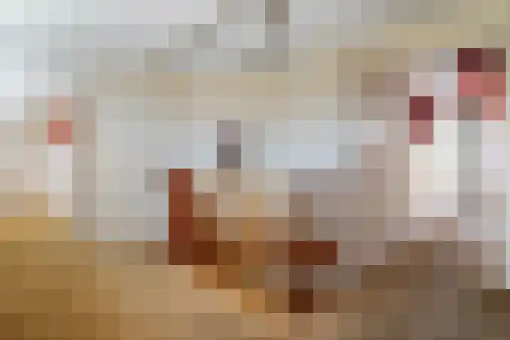 Van Rechterenmarke 18 Zwolle thumbnail 34