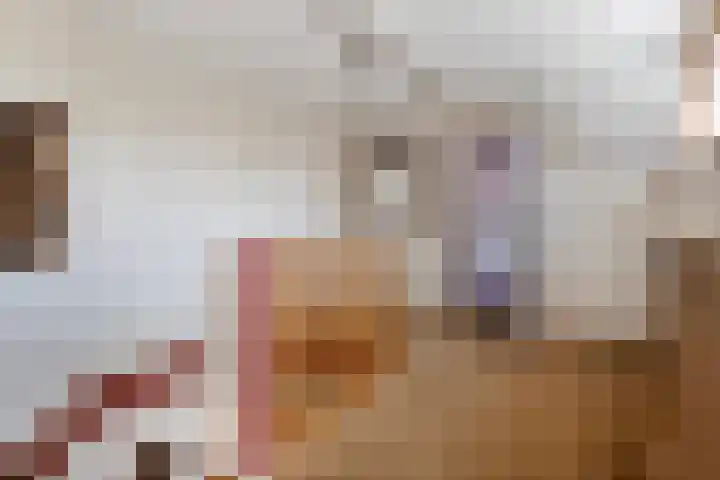Van Rechterenmarke 18 Zwolle thumbnail 35