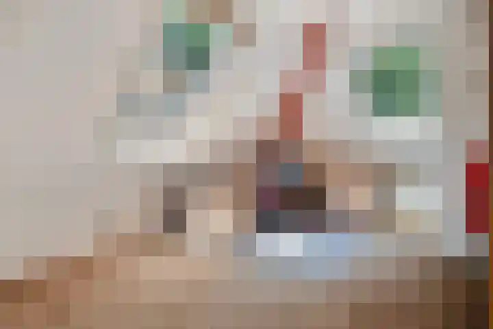 Van Rechterenmarke 18 Zwolle thumbnail 37