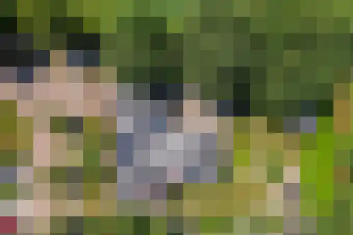 Van Rechterenmarke 18 Zwolle thumbnail 4