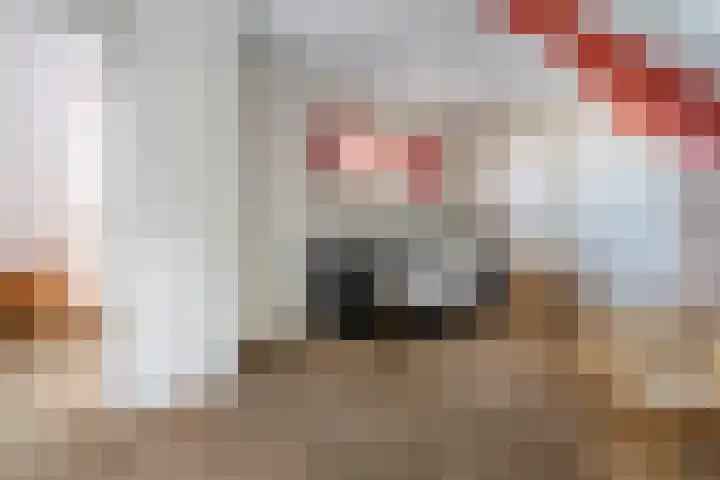 Van Rechterenmarke 18 Zwolle thumbnail 41