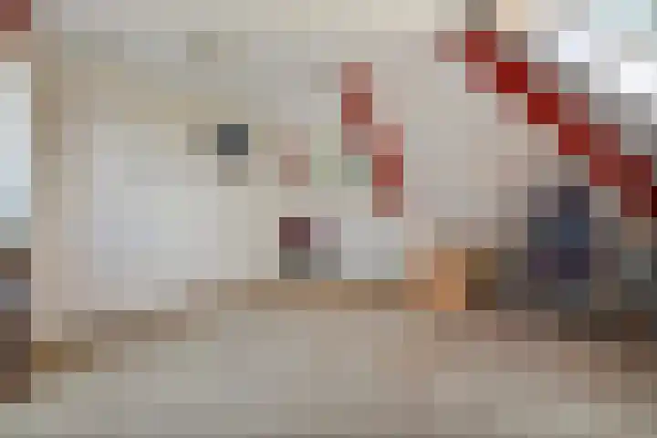 Van Rechterenmarke 18 Zwolle thumbnail 44