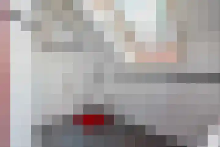 Van Rechterenmarke 18 Zwolle thumbnail 46