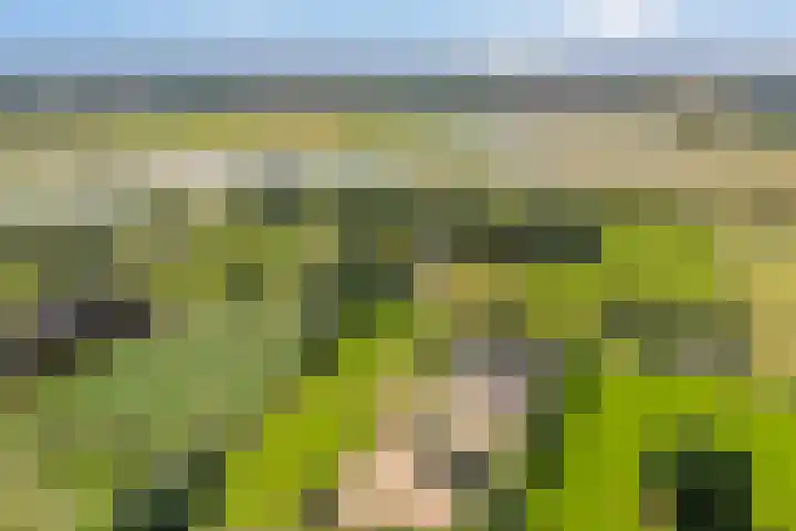 Van Rechterenmarke 18 Zwolle thumbnail 5