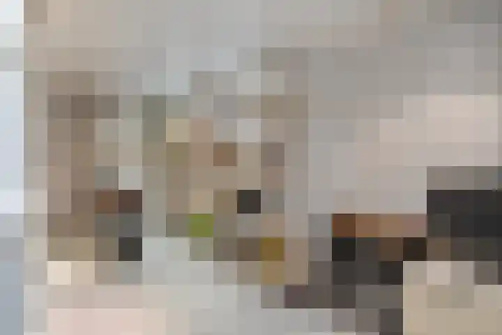 Van Rechterenmarke 18 Zwolle thumbnail 50