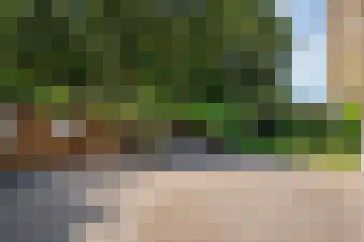 Van Rechterenmarke 18 Zwolle thumbnail 51