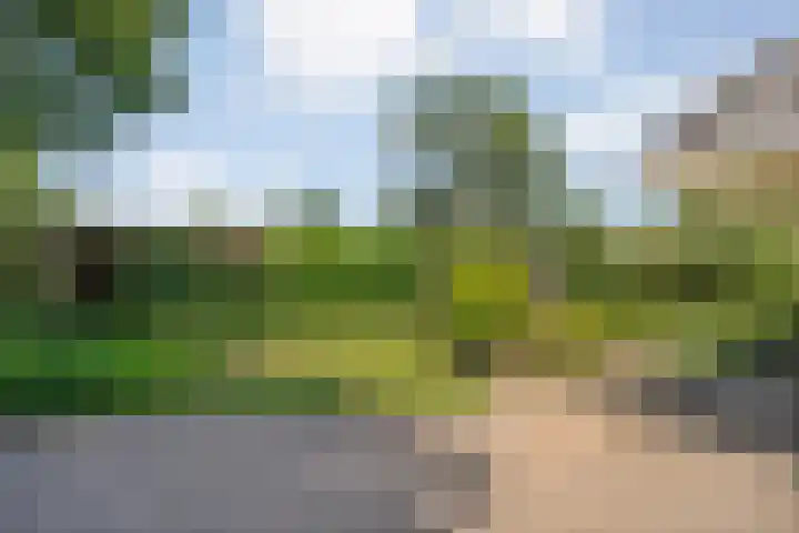 Van Rechterenmarke 18 Zwolle thumbnail 53