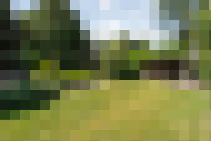 Van Rechterenmarke 18 Zwolle thumbnail 56