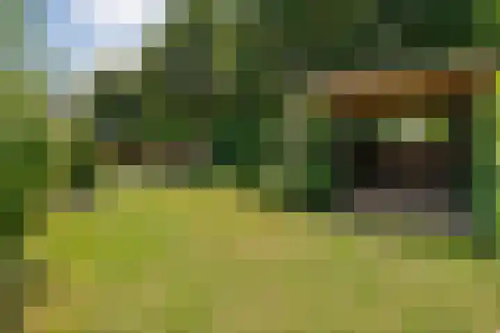 Van Rechterenmarke 18 Zwolle thumbnail 57