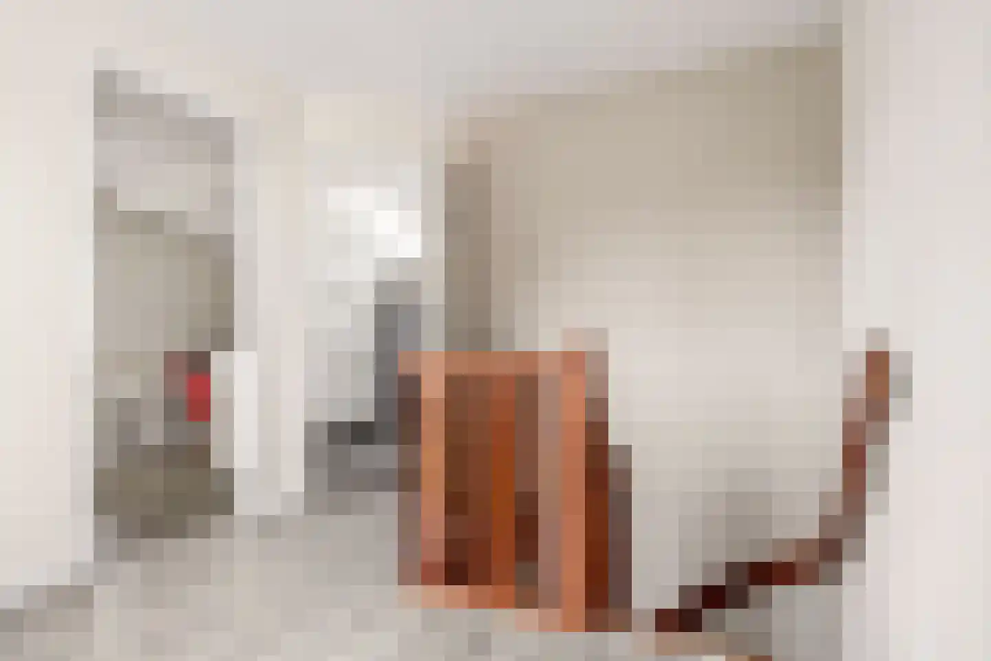 Van Rechterenmarke 8 Zwolle thumbnail 25