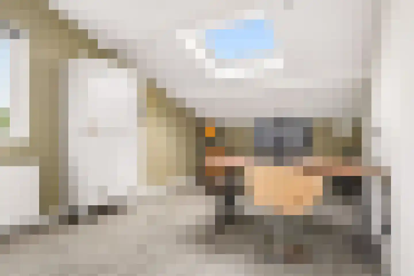 Van Rechterenmarke 8 Zwolle thumbnail 33