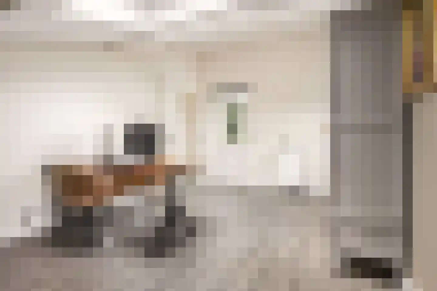 Van Rechterenmarke 8 Zwolle thumbnail 34