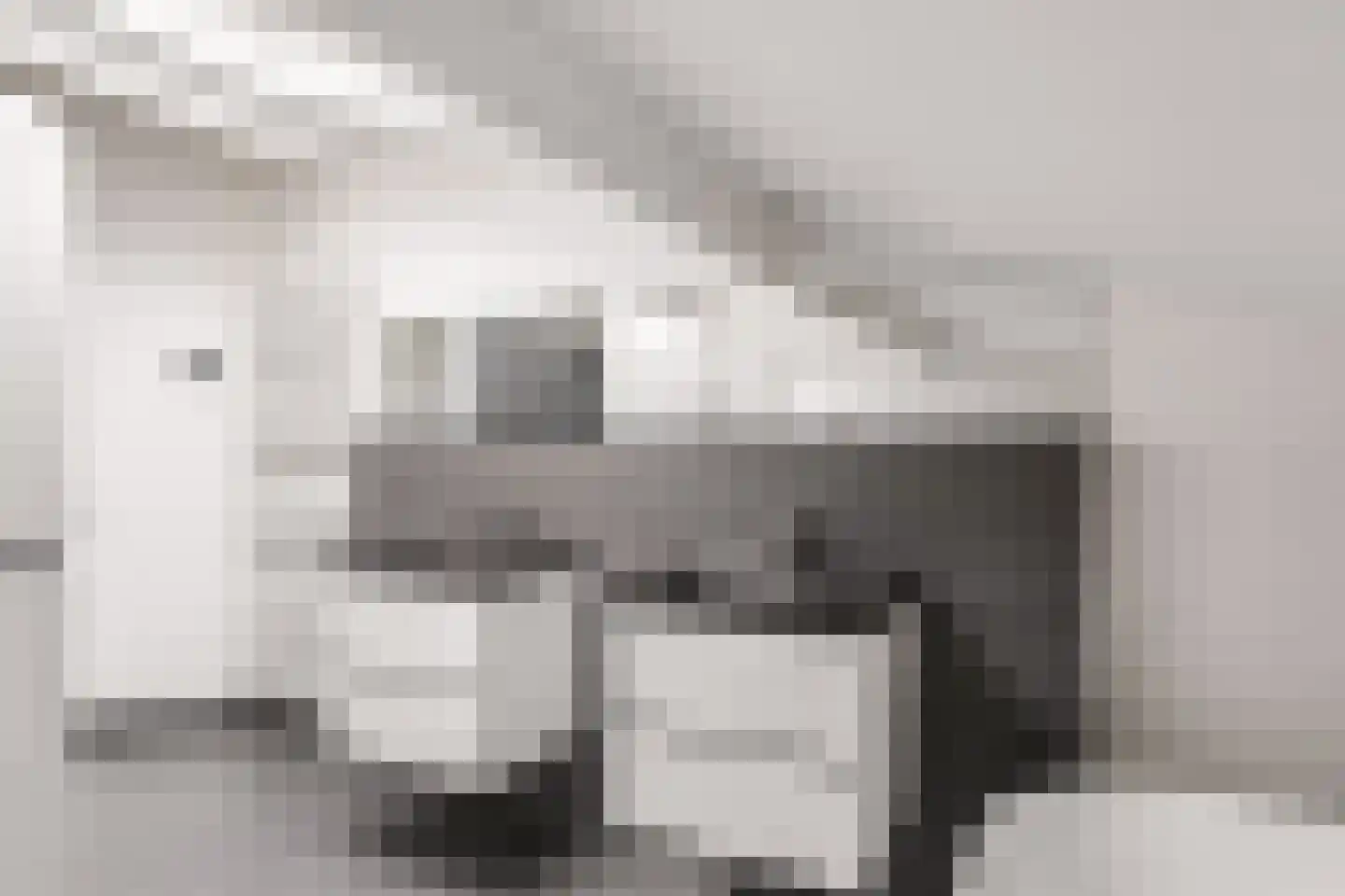 Van Rechterenmarke 8 Zwolle thumbnail 38