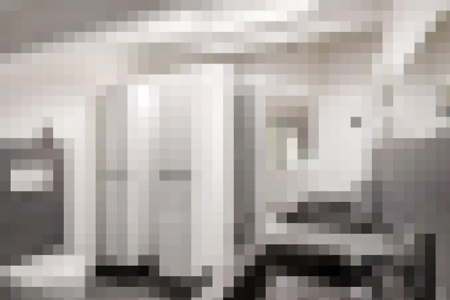 Van Rechterenmarke 8 Zwolle thumbnail 39