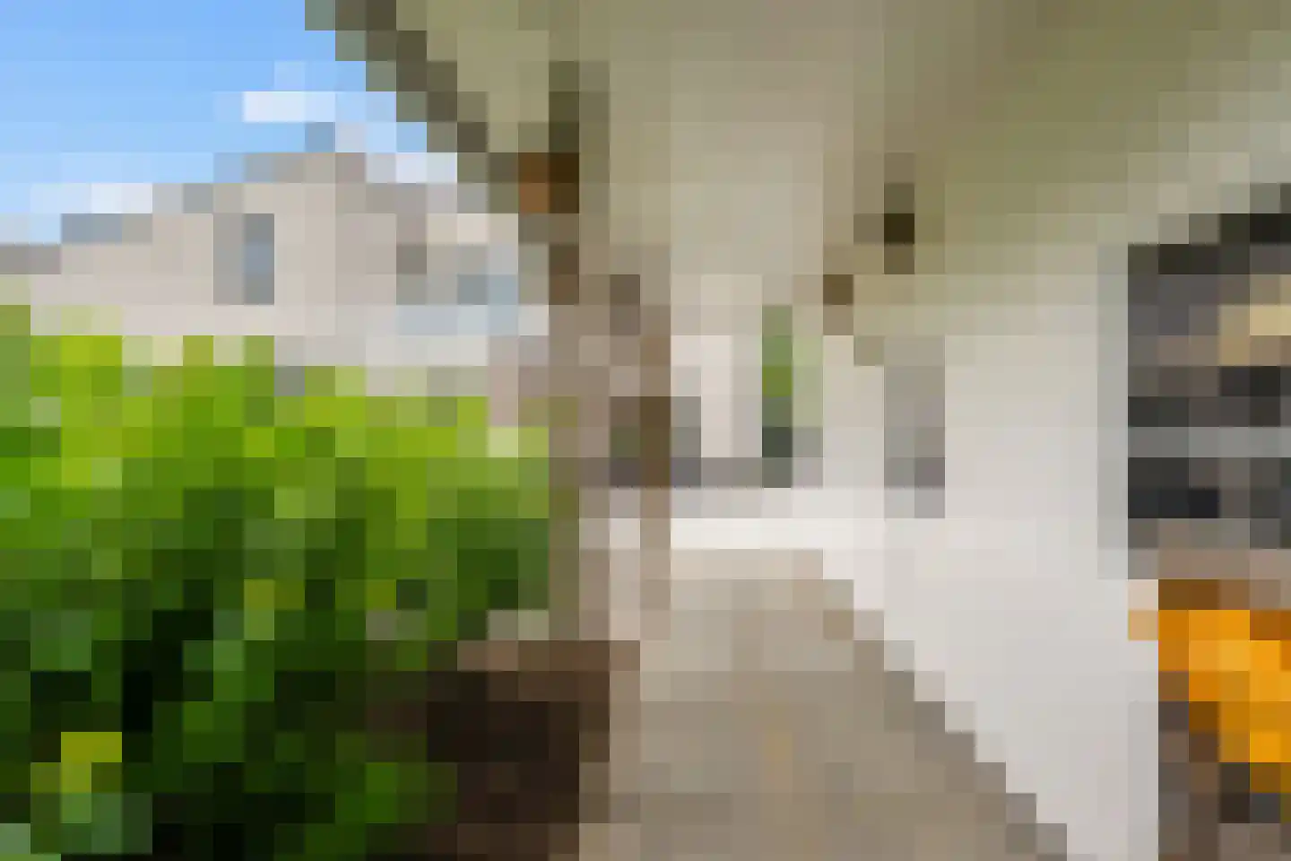 Van Rechterenmarke 8 Zwolle thumbnail 45