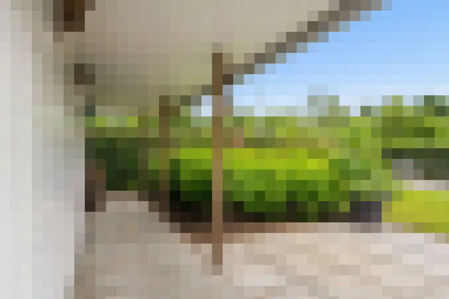 Van Rechterenmarke 8 Zwolle thumbnail 46