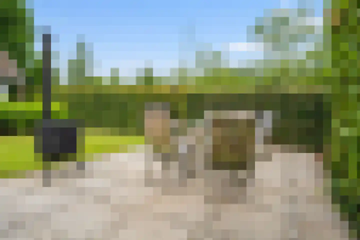Van Rechterenmarke 8 Zwolle thumbnail 49