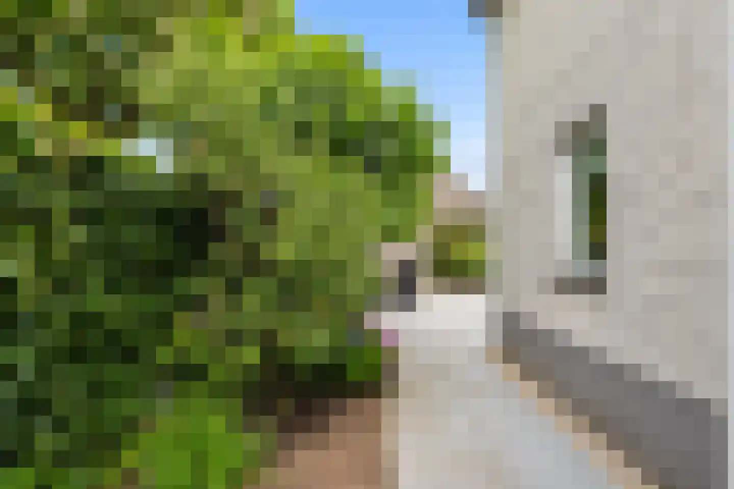 Van Rechterenmarke 8 Zwolle thumbnail 51