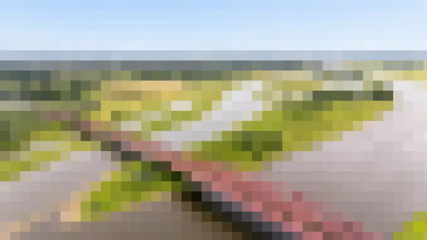 Van Rechterenmarke 8 Zwolle thumbnail 58