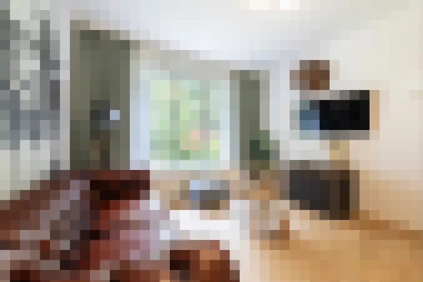 van Rechterenstraat 8 Appeltern thumbnail 13
