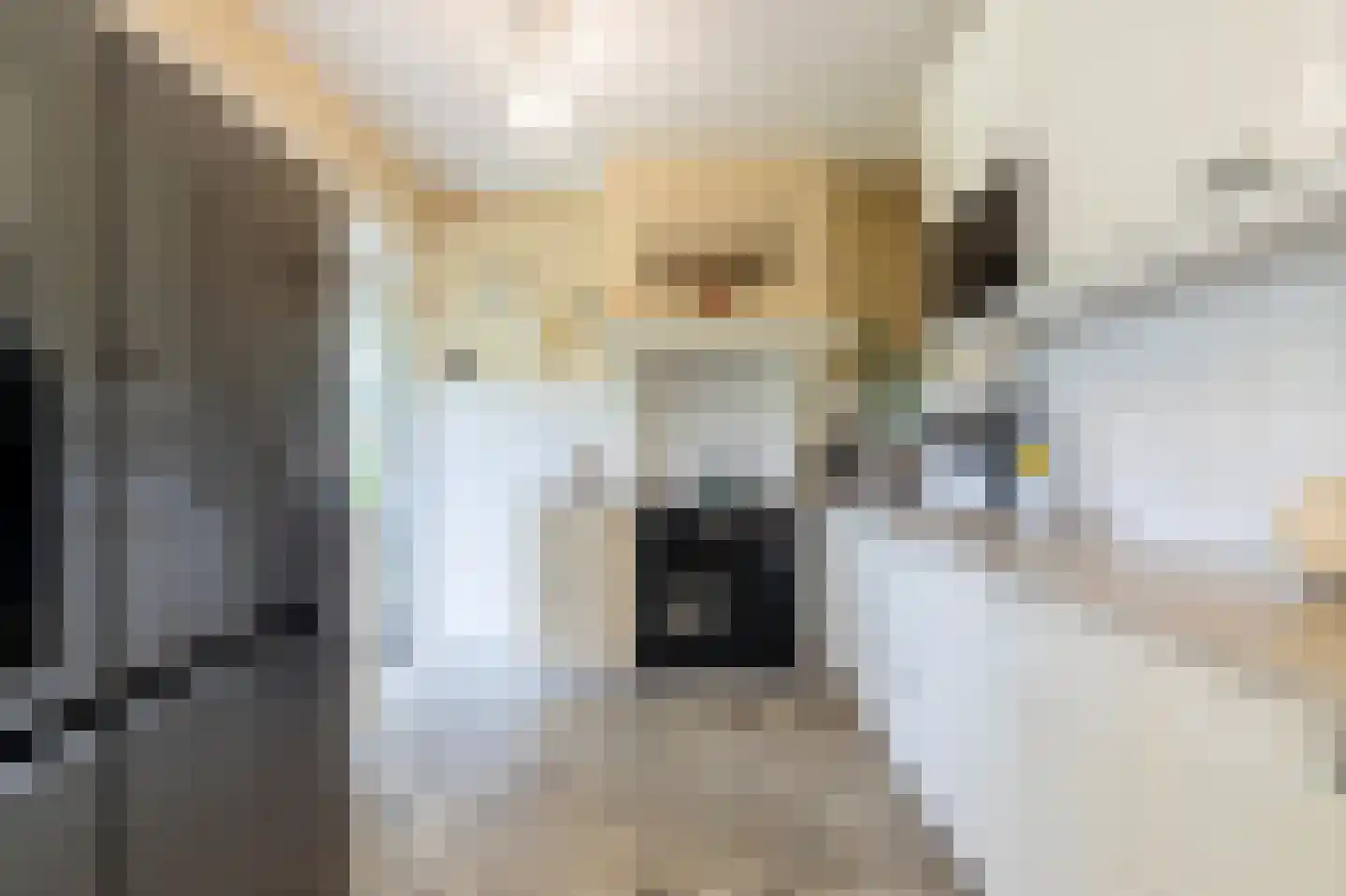 van Rechterenstraat 8 Appeltern thumbnail 15