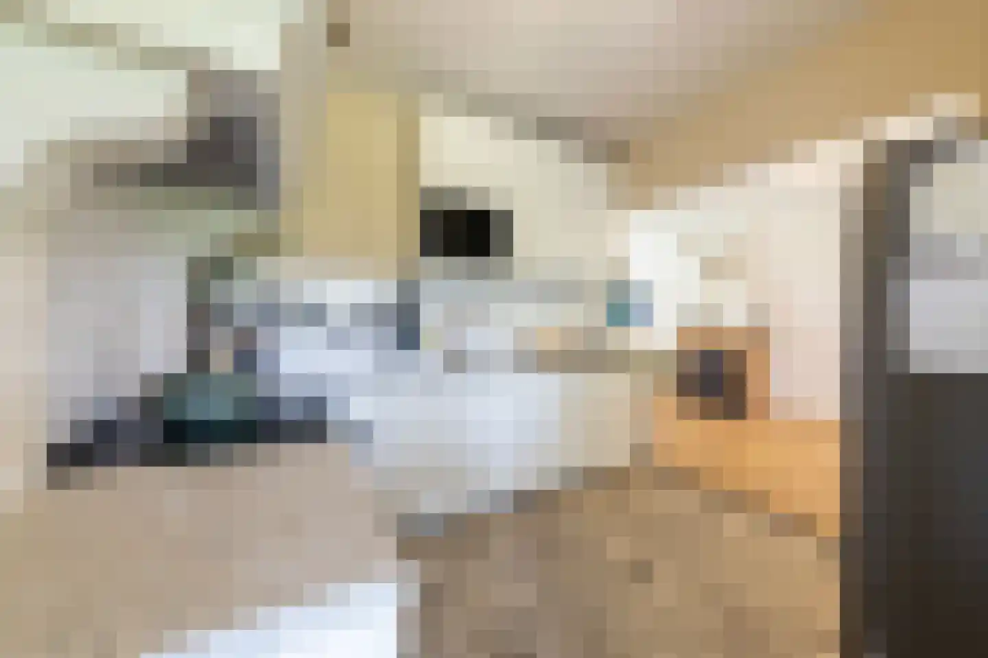 van Rechterenstraat 8 Appeltern thumbnail 19