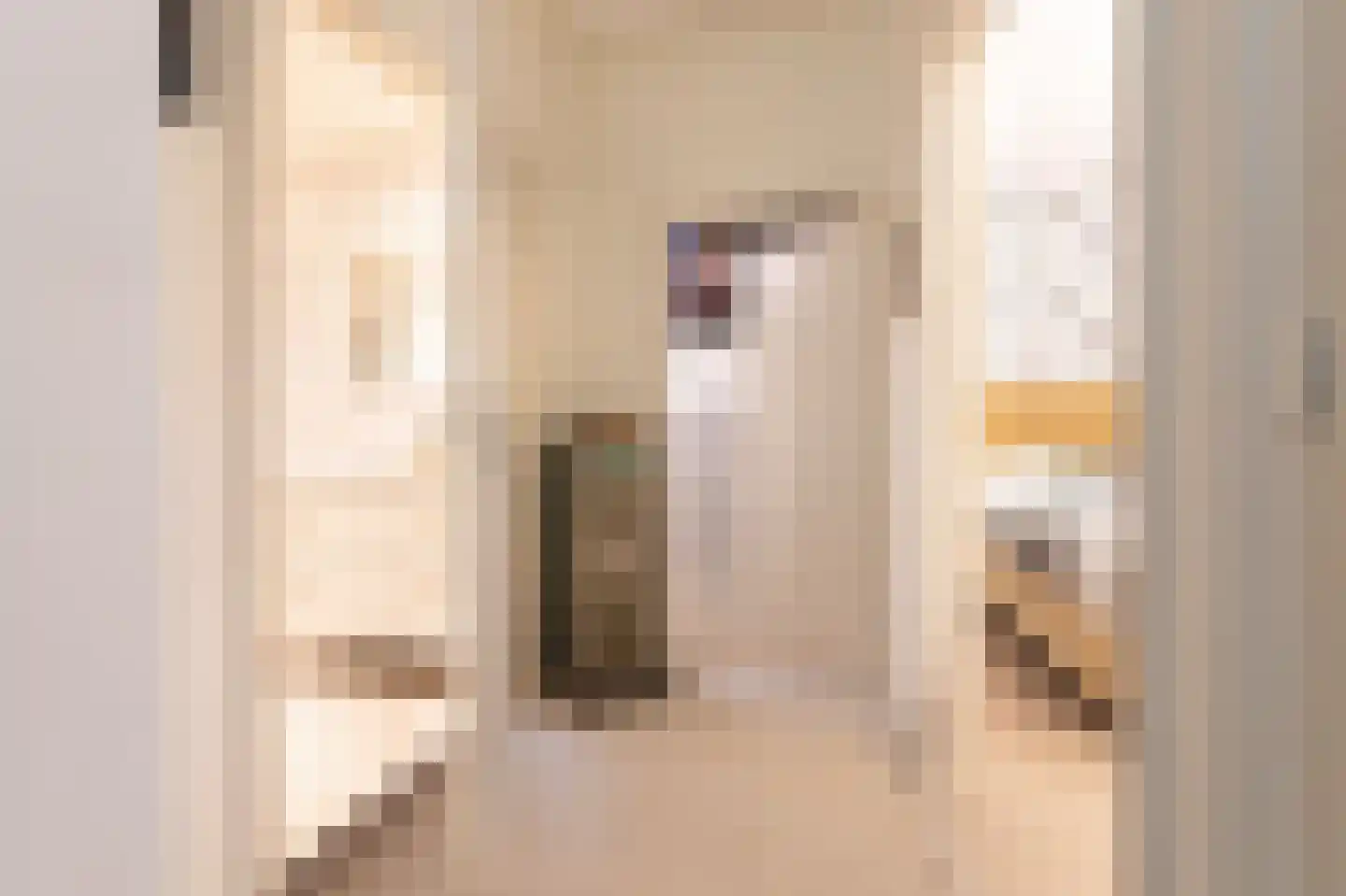 van Rechterenstraat 8 Appeltern thumbnail 28