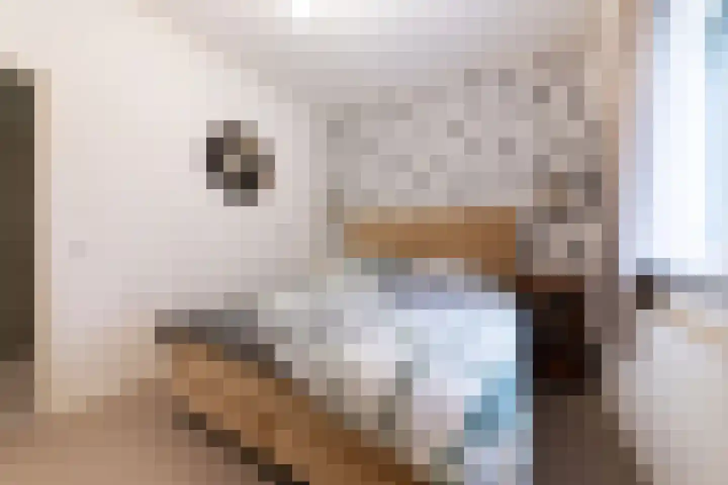 van Rechterenstraat 8 Appeltern thumbnail 29
