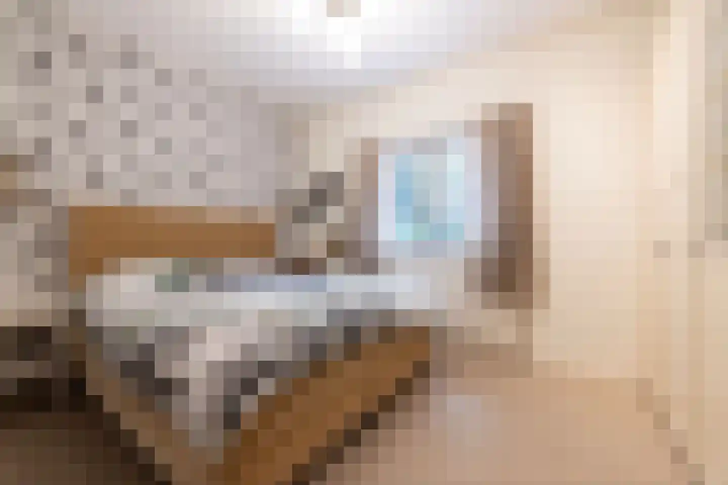 van Rechterenstraat 8 Appeltern thumbnail 30