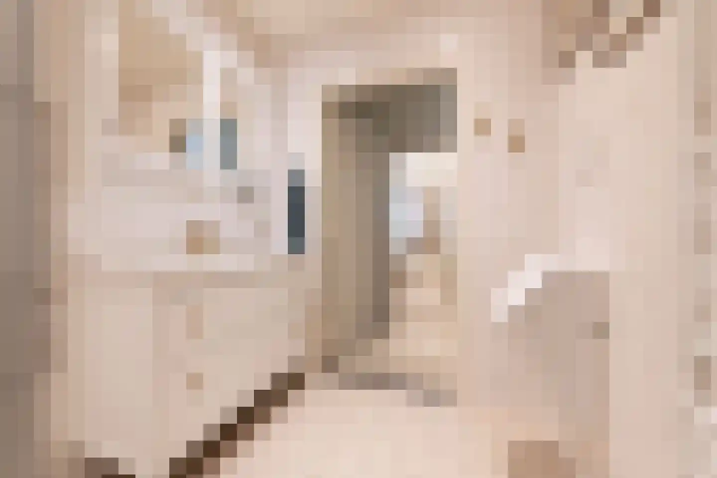 van Rechterenstraat 8 Appeltern thumbnail 32