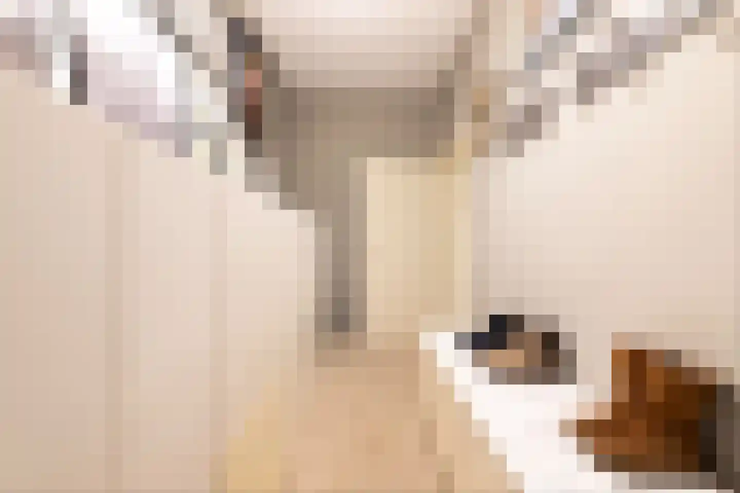 van Rechterenstraat 8 Appeltern thumbnail 34