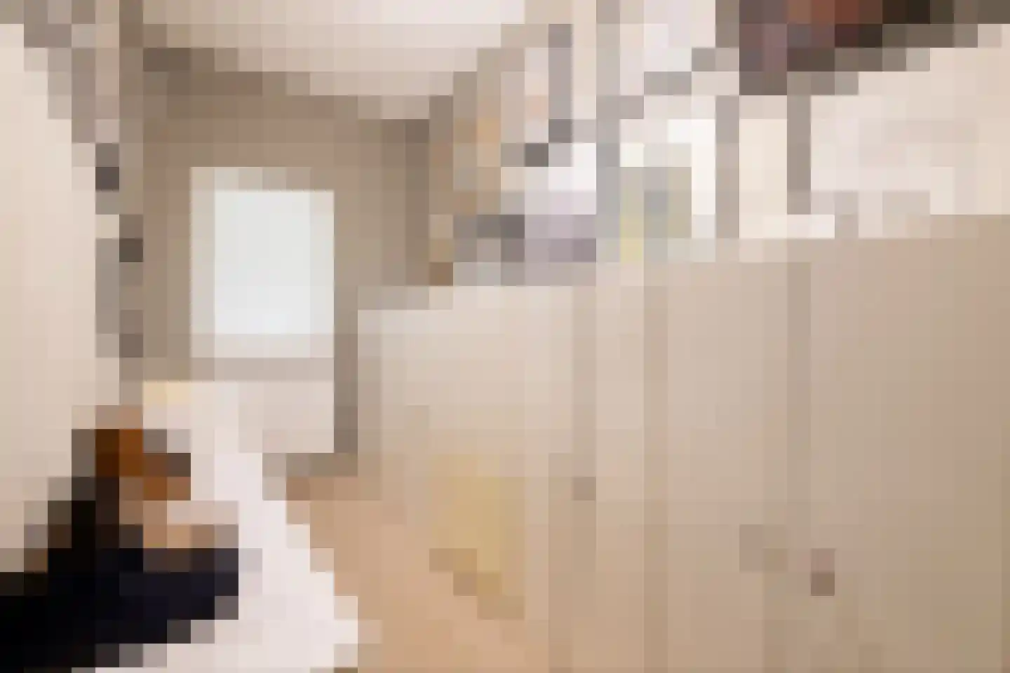 van Rechterenstraat 8 Appeltern thumbnail 35