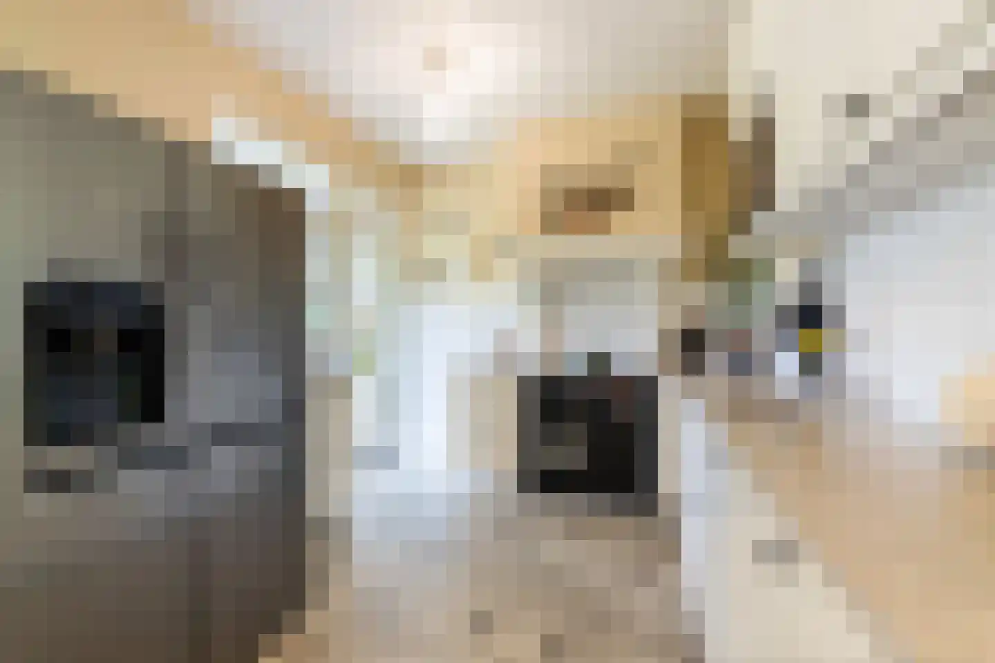 van Rechterenstraat 8 Appeltern thumbnail 36