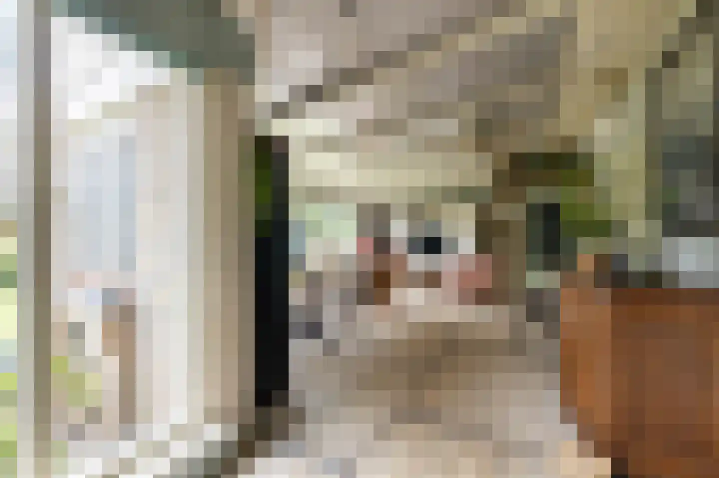 van Rechterenstraat 8 Appeltern thumbnail 38