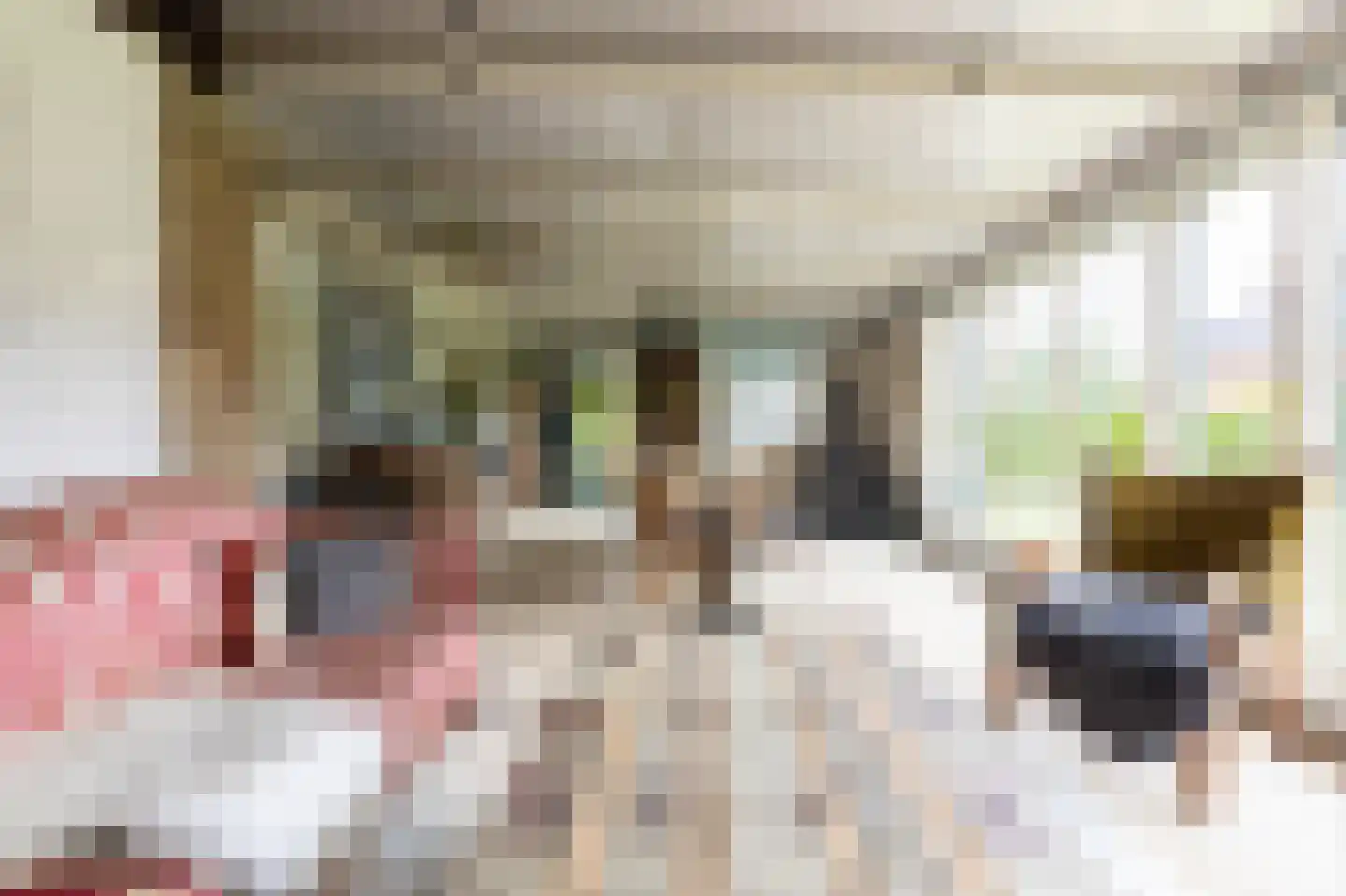 van Rechterenstraat 8 Appeltern thumbnail 39