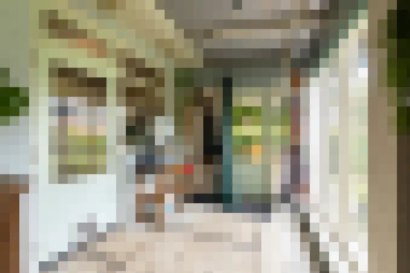 van Rechterenstraat 8 Appeltern thumbnail 40