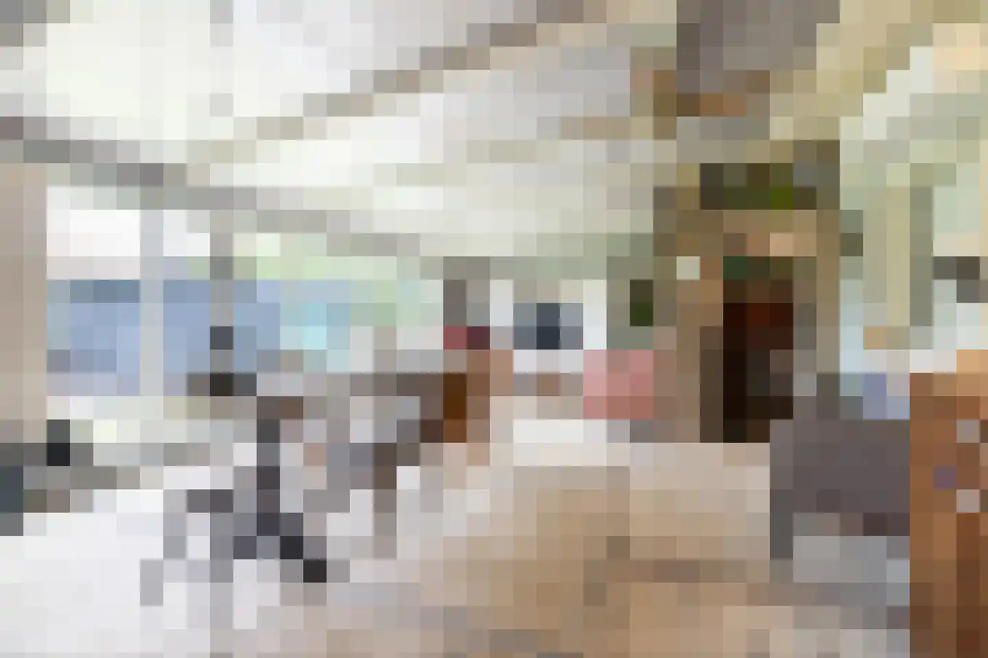 van Rechterenstraat 8 Appeltern thumbnail 41