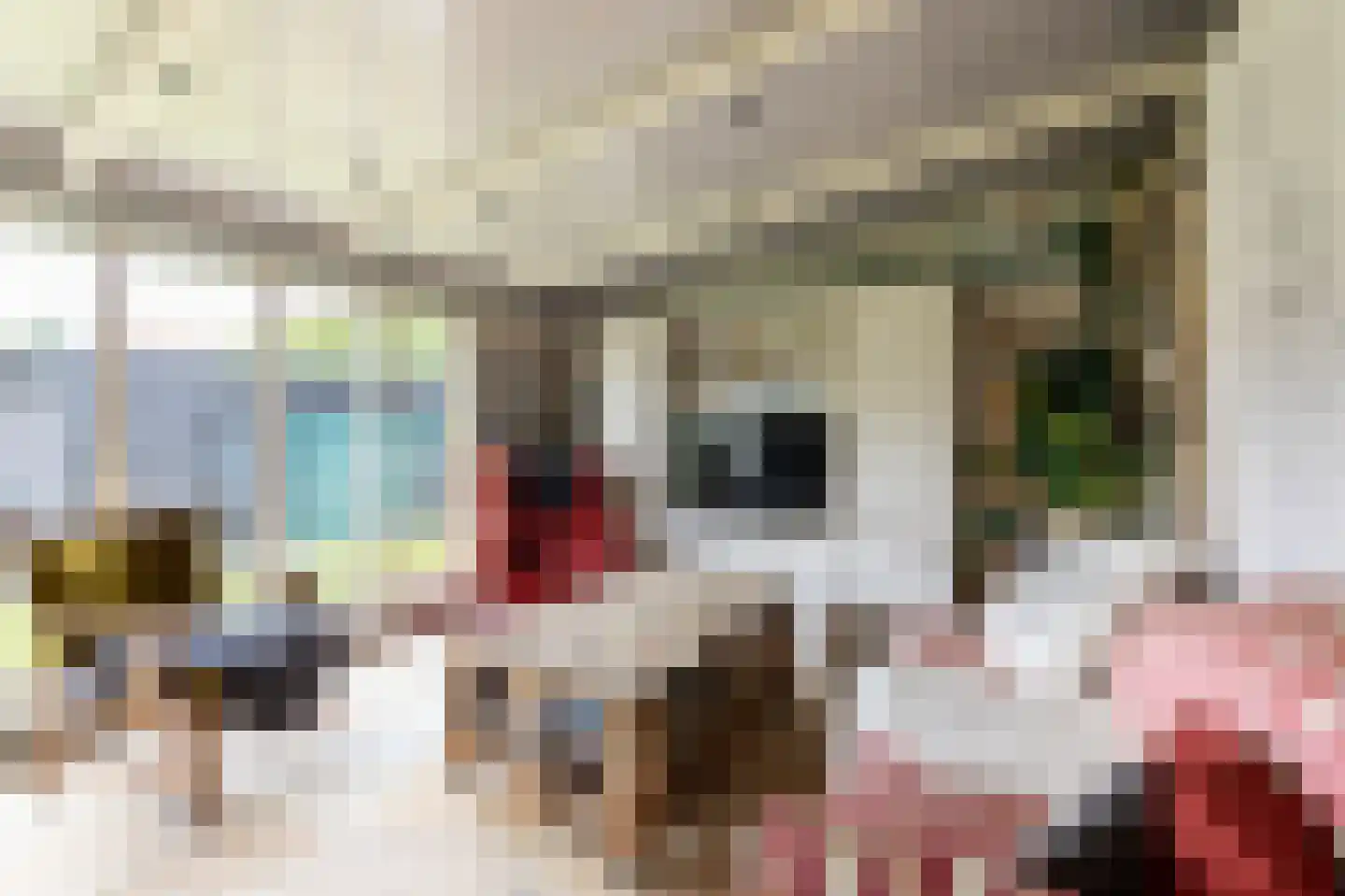 van Rechterenstraat 8 Appeltern thumbnail 42