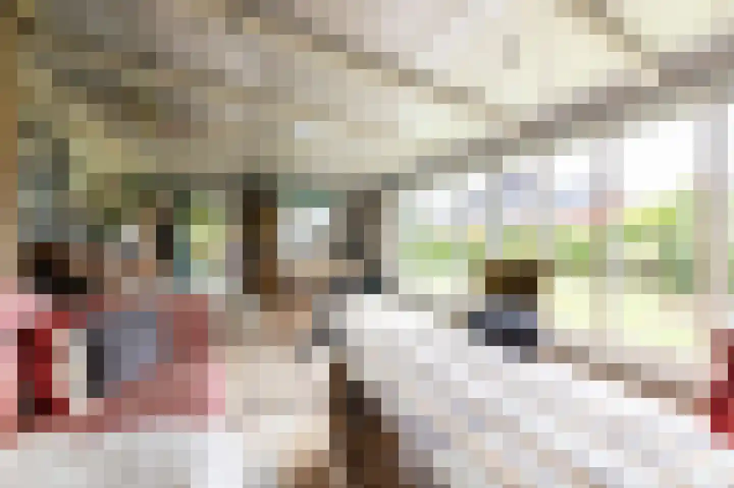 van Rechterenstraat 8 Appeltern thumbnail 45
