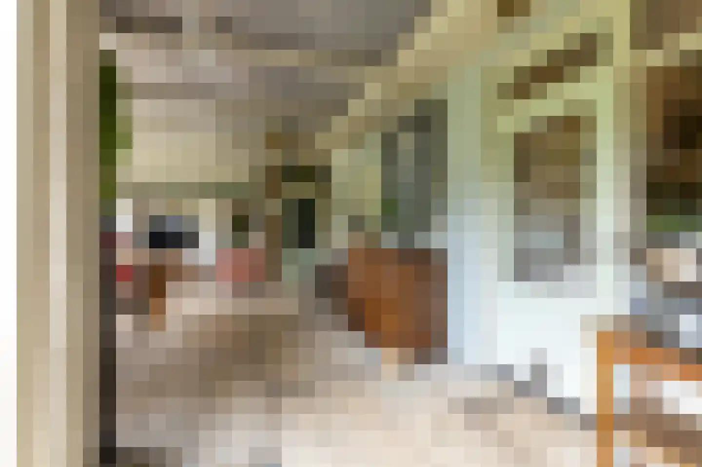van Rechterenstraat 8 Appeltern thumbnail 48