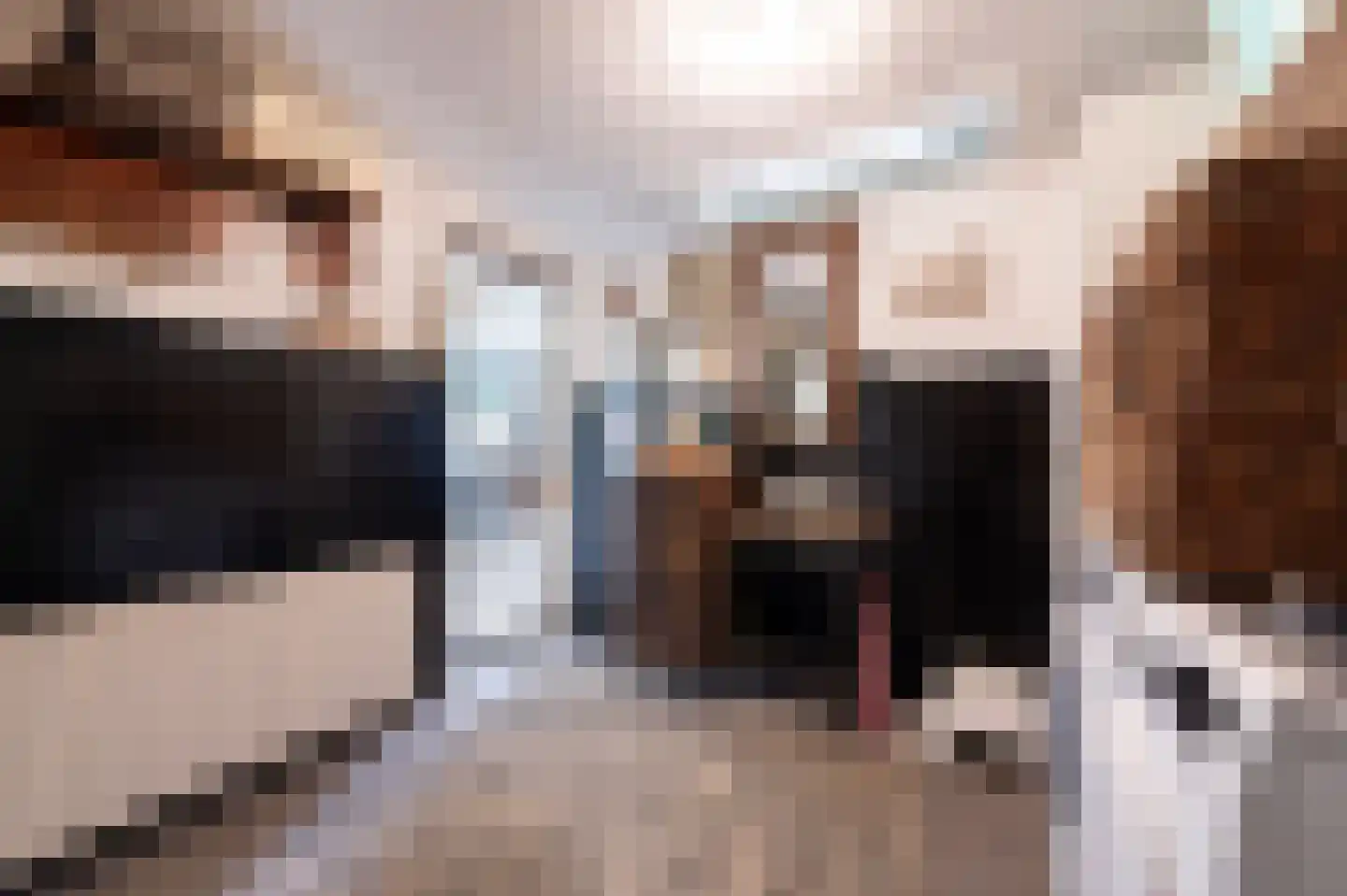 van Rechterenstraat 8 Appeltern thumbnail 49