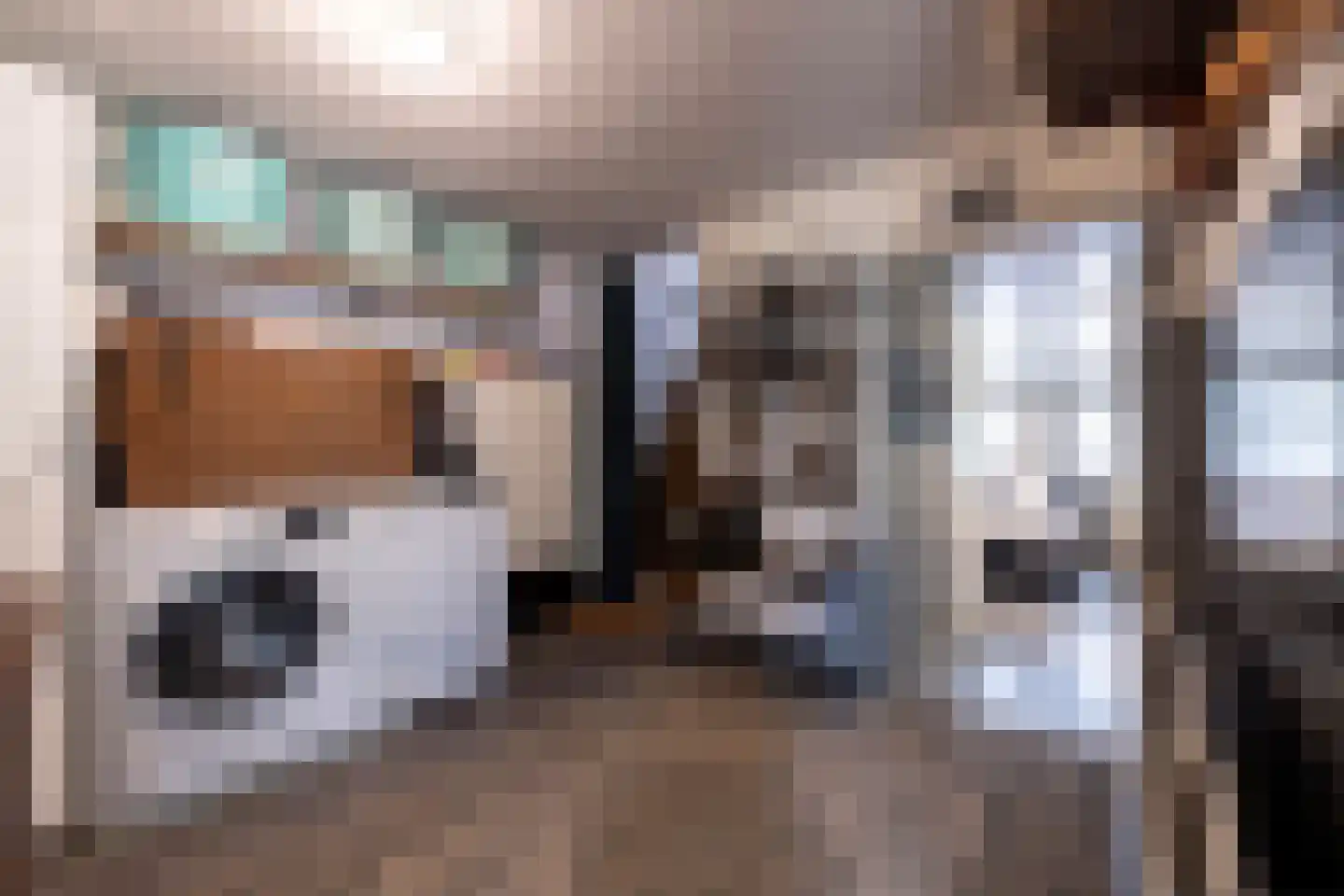 van Rechterenstraat 8 Appeltern thumbnail 50