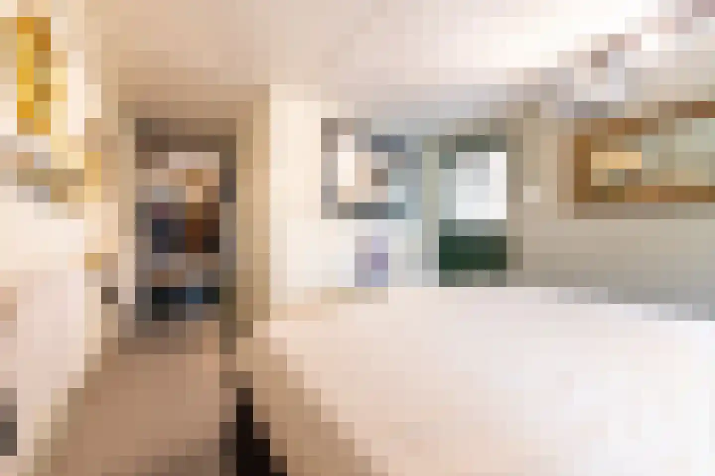 van Rechterenstraat 8 Appeltern thumbnail 54