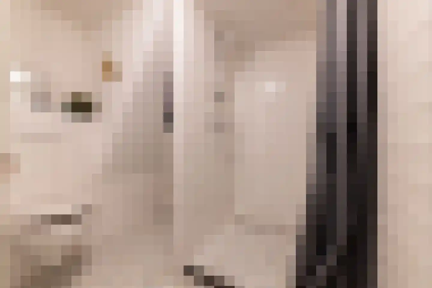 van Rechterenstraat 8 Appeltern thumbnail 58