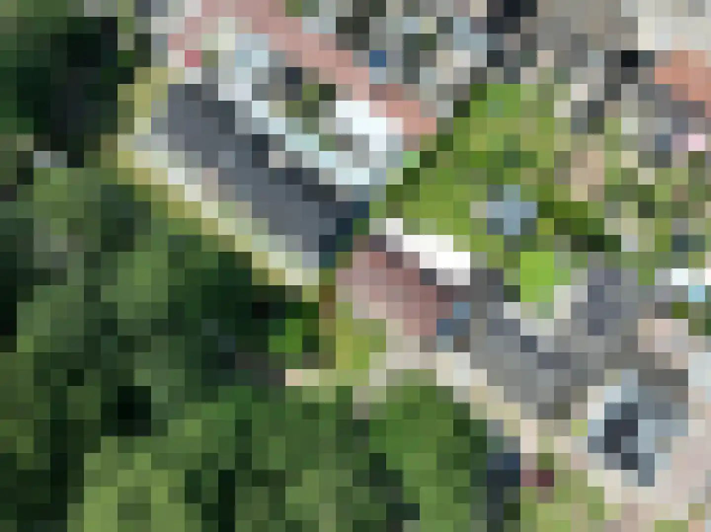 van Rechterenstraat 8 Appeltern thumbnail 65