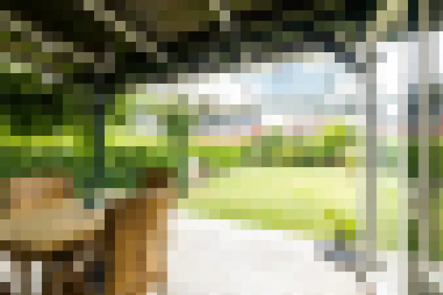 van Rechterenstraat 8 Appeltern thumbnail 72