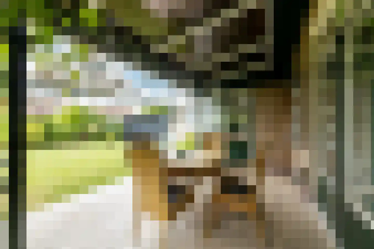 van Rechterenstraat 8 Appeltern thumbnail 74