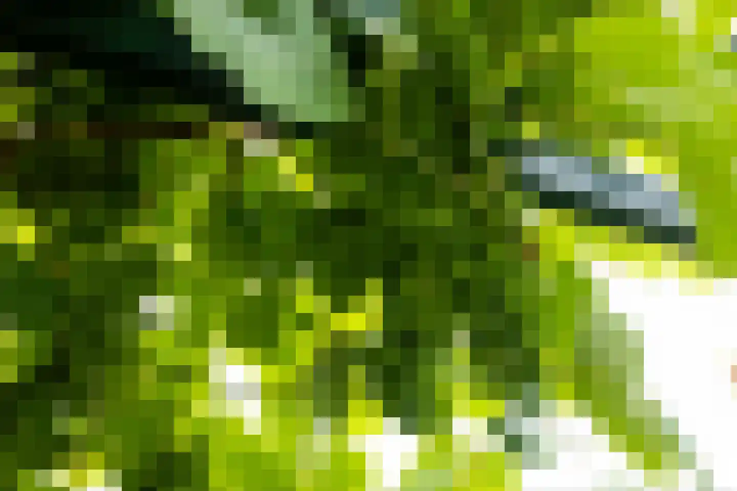 van Rechterenstraat 8 Appeltern thumbnail 75