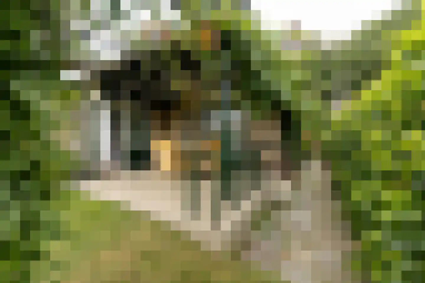 van Rechterenstraat 8 Appeltern thumbnail 77