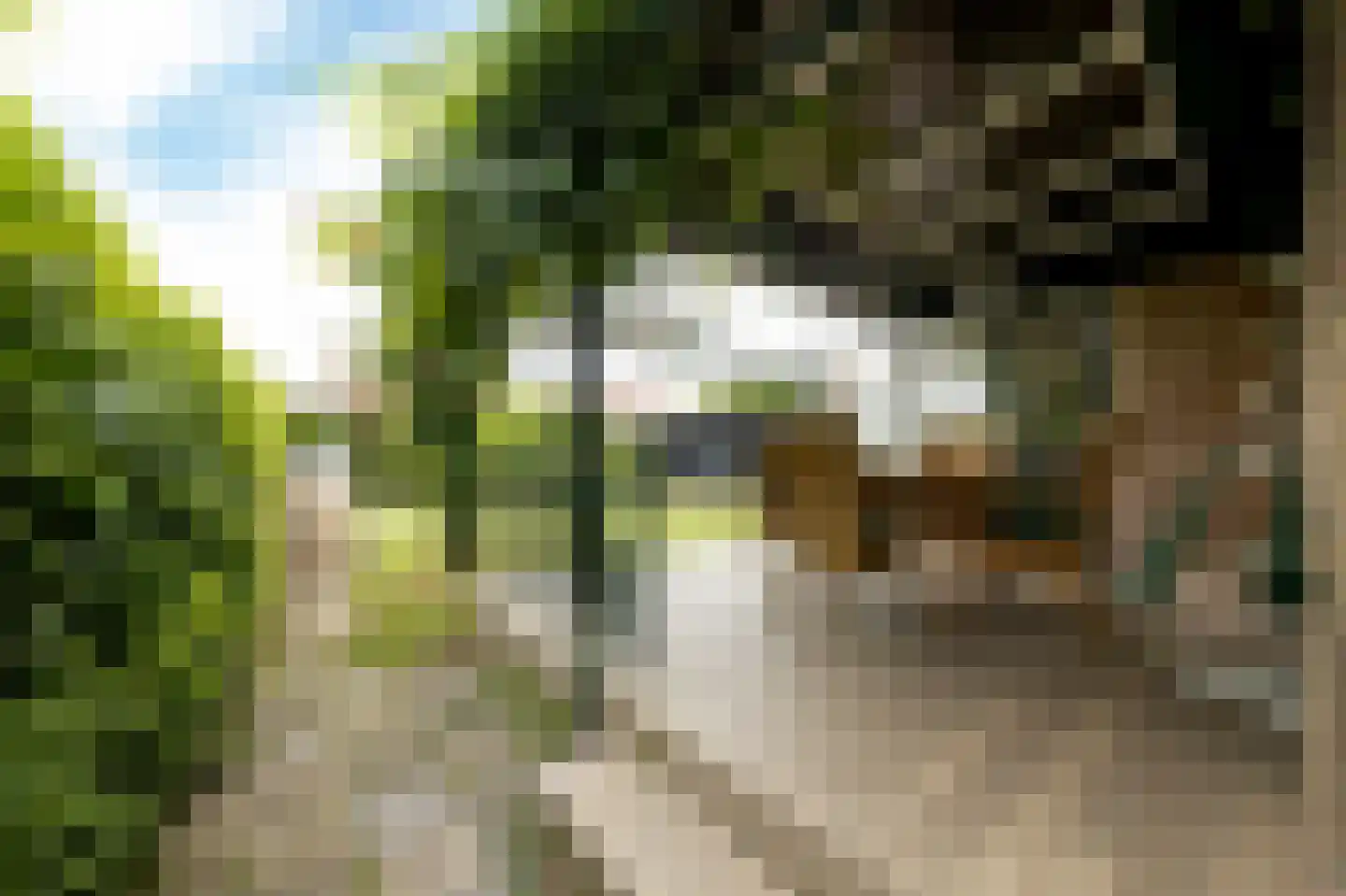 van Rechterenstraat 8 Appeltern thumbnail 78